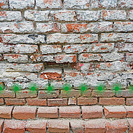 Hasit: Mauerfeuchte als Problemlöser