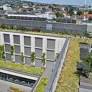 Dach- und Fassadenbegrünung – längst mehr als ein Nischenprodukt