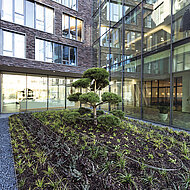 Neues Retentions-Gründach reduziert Hochwassergefahr