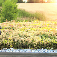 Lösungen für das Gründach im Mittelpunkt