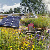 ZinCo bietet Gründach-Seminare an