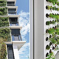 Eine grüne Fassade aus 50 000 Pflanzballen