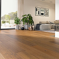 ter Hürne: »Hywood« – das Beste aus zwei Welten