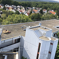 Sifatec: Barrierefreies Arbeiten auf der ganzen Dachfläche 