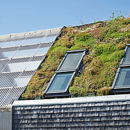 Ein Zuhause auf grünem Fuß 