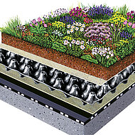 Gründächer richtig planen