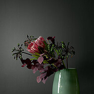 Caparol: Vorhang auf für die trendige Beratung