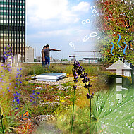 Gründach-Seminare zeigen Potenziale auf