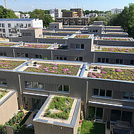 »Flachdach der Zukunft«: Zertifizierung soll Engagement fördern