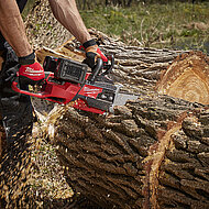 Kraftpaket f&uuml;r anspruchsvolle F&auml;ll- und R&uuml;ckschnittarbeiten