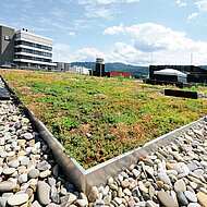 Komplettsysteme zur extensiven Dachbegrünung