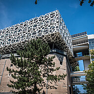 Caparol: BASF wählte für die Wände im neuen Creation Center die Innenfarbe IndekoGEO