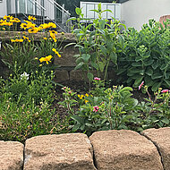 Für mehr Biodiversität sensibilisieren