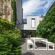 Zarte Struktur auf hartem Stein