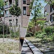 Pflaster und Vegetation im Zusammenspiel