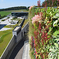 Alles zum Thema Gebäudebegrünung