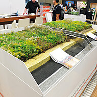 Richard Brink: Ein Gesamtpaket für Gründächer