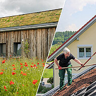 Begrüntes Satteldach in Oberschwaben als Beispiel für klimagerechtes Bauen
