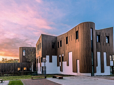 Moso: Reiche Ernte für die Bambus- Experten aus den Niederlanden