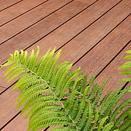 Moso International: Massive Bambusdiele im Karamellton 