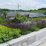 Erfahrungsaustausch auf dem Weltkongress Gebäudegrün vom 27.-29.06.2023