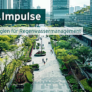 Regenwassermanagement im Fokus