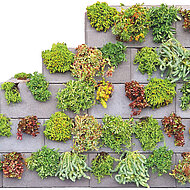 Begrünbares Mauersystem gegen heiße Innenstädte