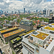 ZinCo: Dachbegrünungen können immer mehr