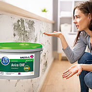 Langfristig Schimmel und Feuchtigkeitsschäden vermeiden