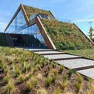 »Mediterrane Blumenwiese« auf dem Steildach