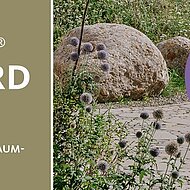 Freiraumgestaltungen mit »Arena«-Pflaster gesucht!