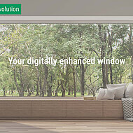 Salamander: Vom Fenster zum Erlebnis