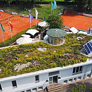 ZinCo: Ein Clubhaus als Eldorado für Flora und Fauna