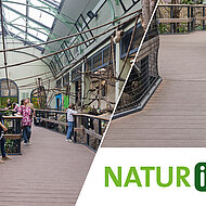 Ein Skywalk durch den Dschungel Südamerikas 