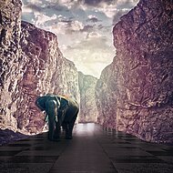 Faktum Bauprodukte: Fliesenkleber für Großformate im Außenbereich 