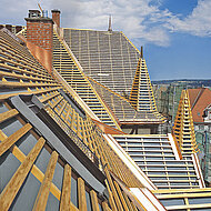 Exklusiv-Vertrieb für »Stamisol« 