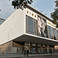 Deckend&auml;mmung mit Steinwoll-Granulat