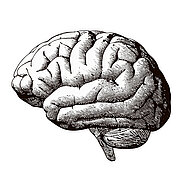 Jetzt vollständig online: »abc – Technische Regeln Abdichtungen«