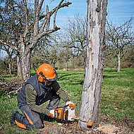 STIHL: Neue Akku-Motorsäge punktet mit Leistung und Ausdauer