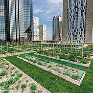 Moderner Stadtgarten_ »Le Cordon Bleu« in Paris hat schmackhaftes und lehrreiches Dach