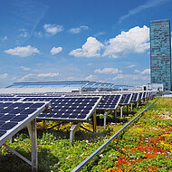 ZinCo: Dachbegrünung und Solarpower Hand in Hand 
