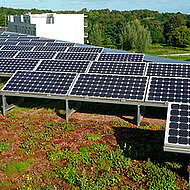 Die Rolle der Dachbegrünung auf dem »etrium«