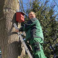 Neue Insektenhotels auf dem Werksgelände