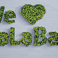 Große Wiedersehensfreude nach vier Jahren