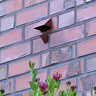 Hagemeister: Ökologie und Ökonomie optimal vereint