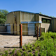 Keimfarben: Laubfarbtöne für das neue Zuhause der Elefanten