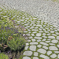 braun-steine: ARENA RASEN- UND DRAINFUGENSTEIN