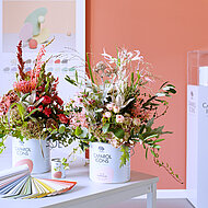 Neues Messe-Format: CAPAROL ICONS bei den LUIZ Interior Days