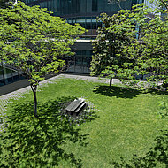 Mehr Mut zur »Grünen Lücke«