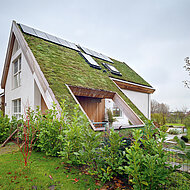 Außen grün, innen hell